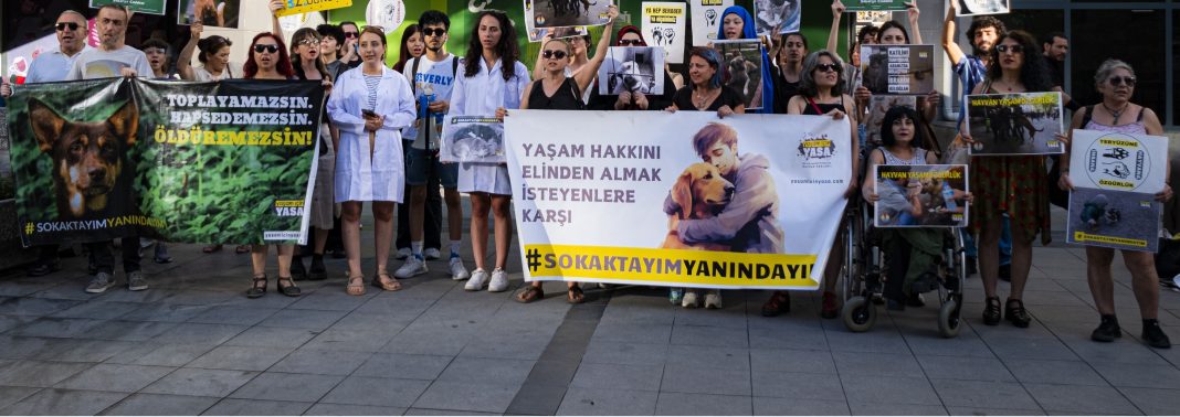 Sokaktayım Yanındayım